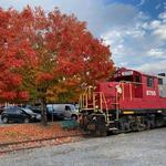 Blue Ridge Scenic Railway