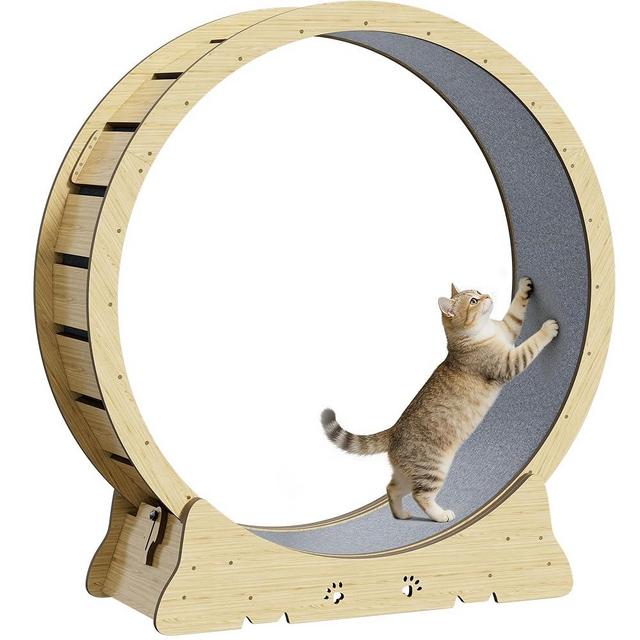 Large Cat Exercise Wheel, Quiet 48" Cat Treadmill for Indoor Cats, Running Wheel with Carpeted Runway & Stability Base, Ideal for Multiple Cats & Large Breeds for Fitness & Active Play