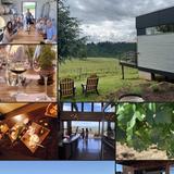 A Great Oregon Wine Tour