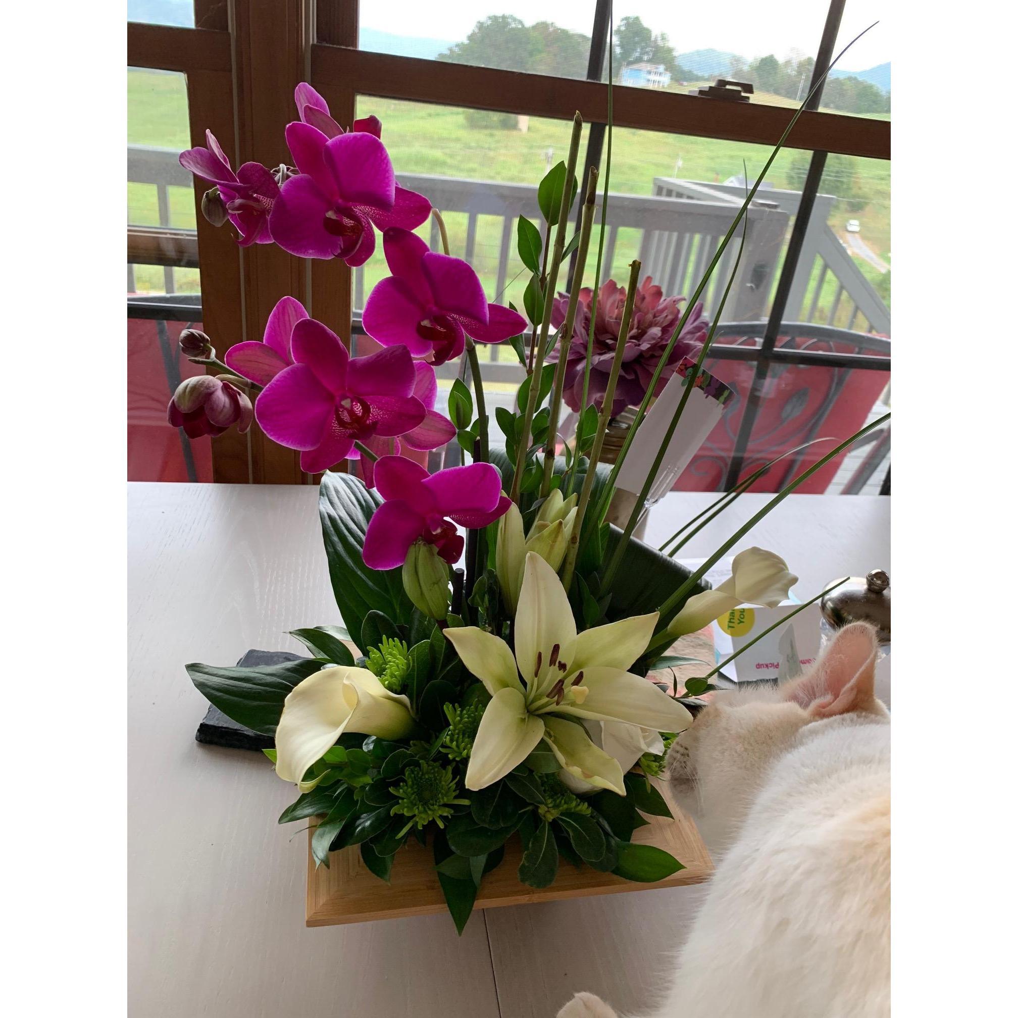 Parker sends me flowers randomly :)
