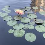 Denver Botanic Gardens