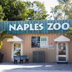 Naples Zoo at Caribbean Gardens