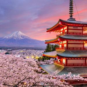 Japan 2026!