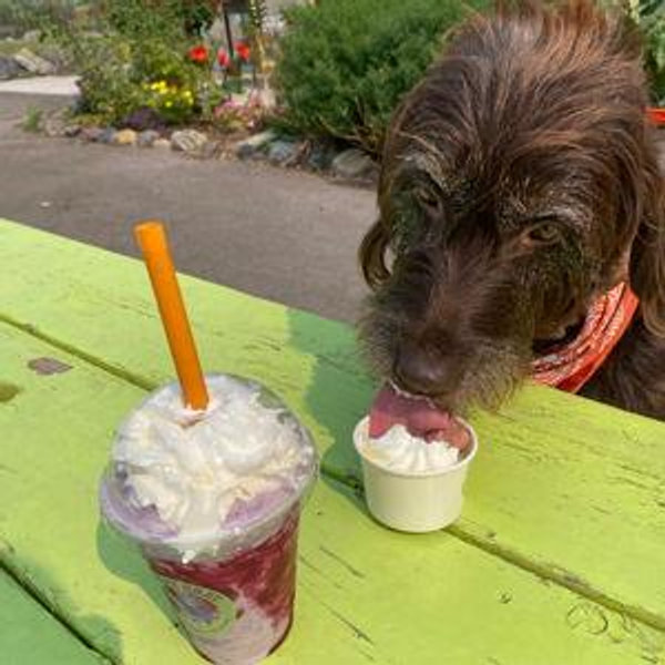 Treats for Mocha