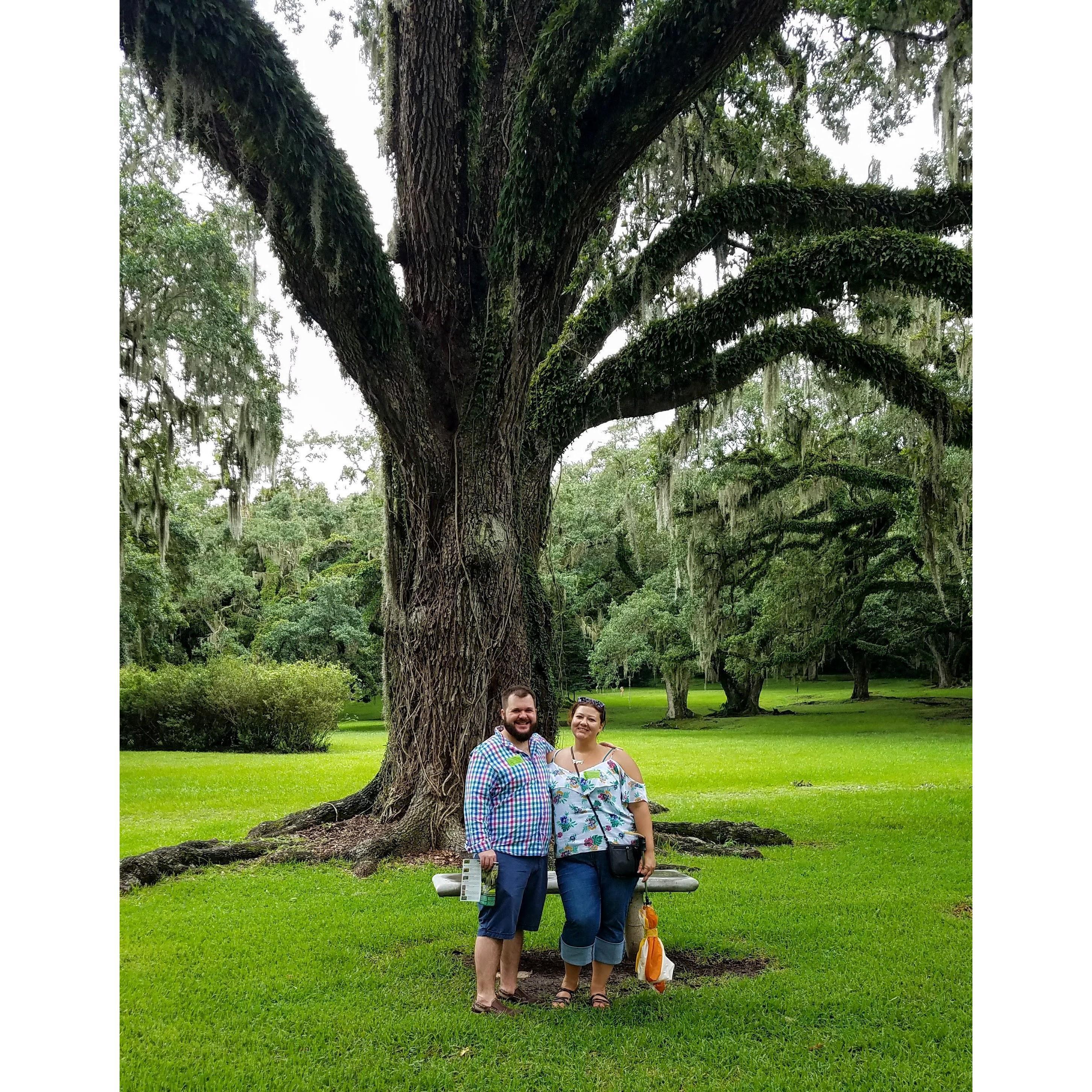 Visiting Tabasco Avery Island Jungle Gardens
