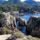 Point Lobos State Natural Reserve
