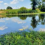 Mineola Nature Preserve