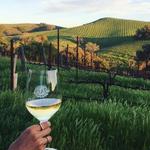 Wine tasting