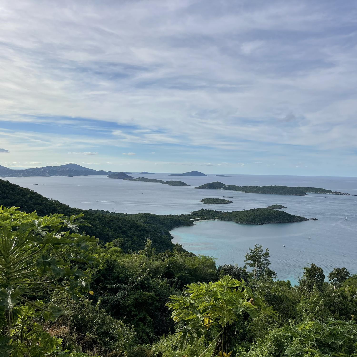 View from Windmill Bar.