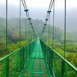 Monteverde Cloud Forest Biological Preserve