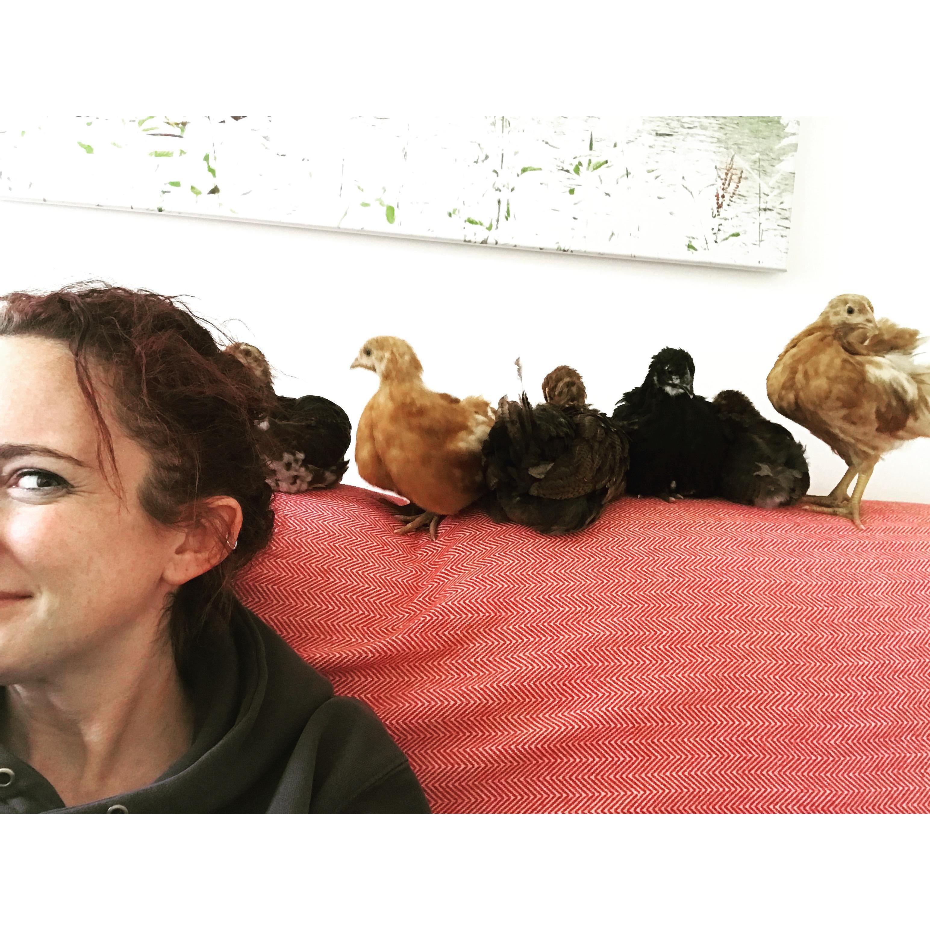 Mother hen.