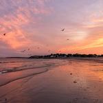 Devereux Beach
