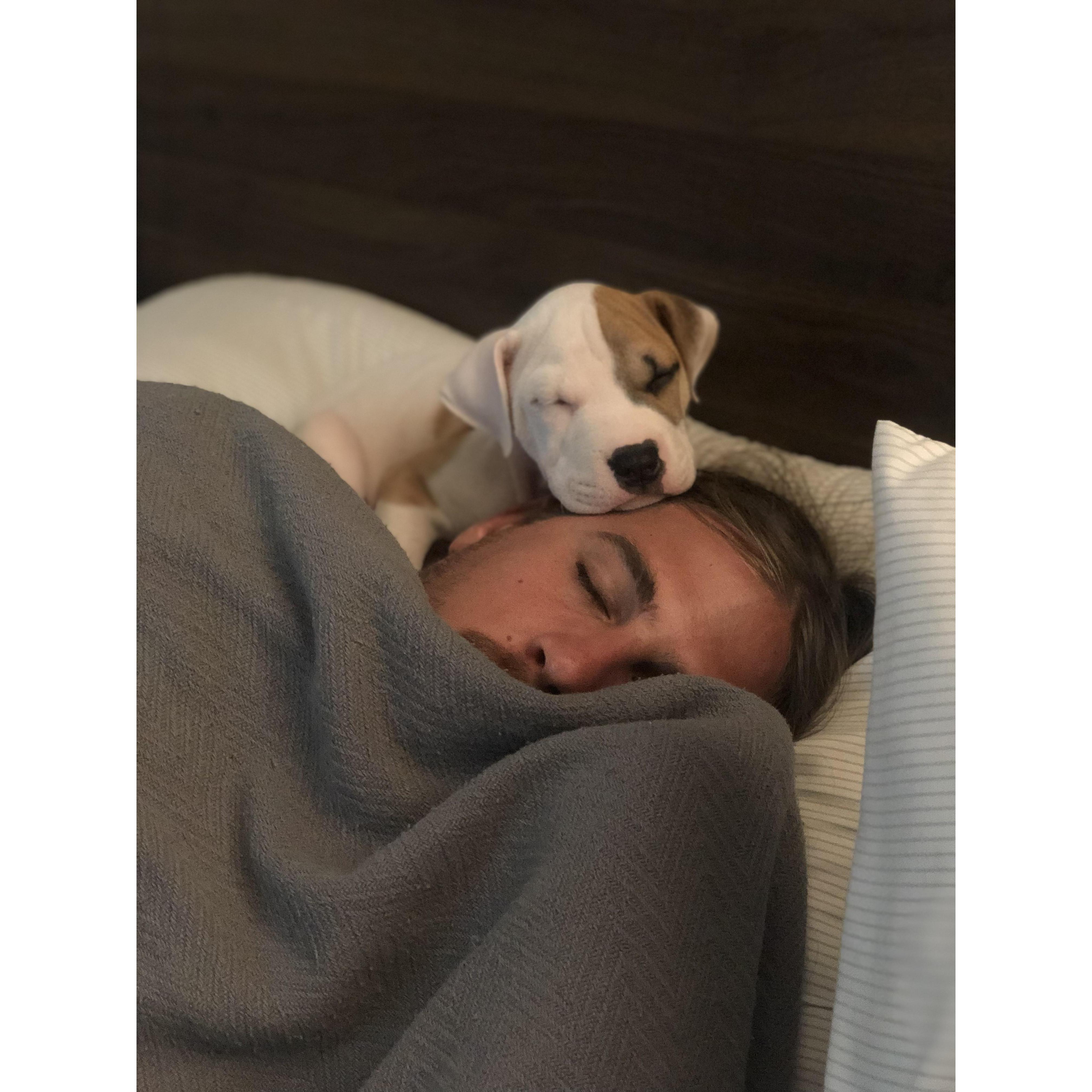Ozzy's favorite spot when he was a baby!