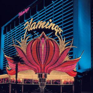 Three Nights at the Flamingo