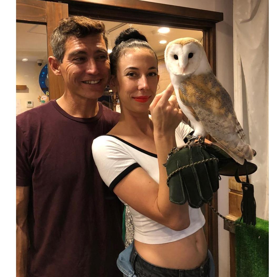 Owl see you in Shibuya
