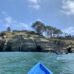 La Jolla Sea Cave Kayaks