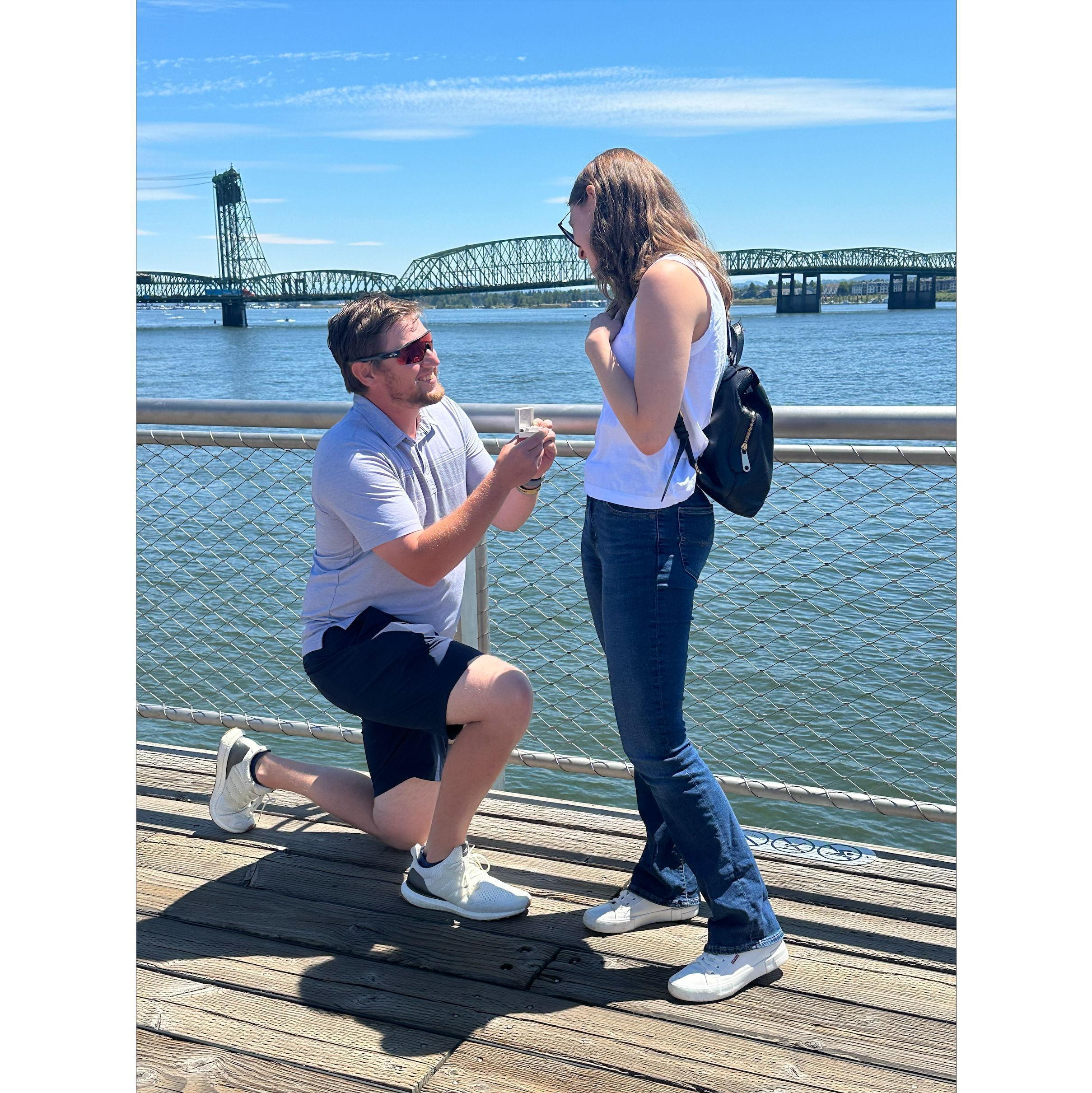 The Proposal - 2024