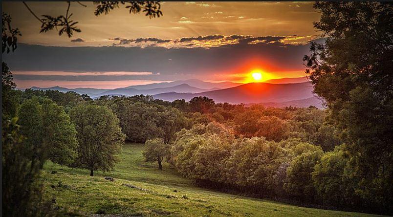 The Wedding Website of Eva Helander and Antonio Latorre