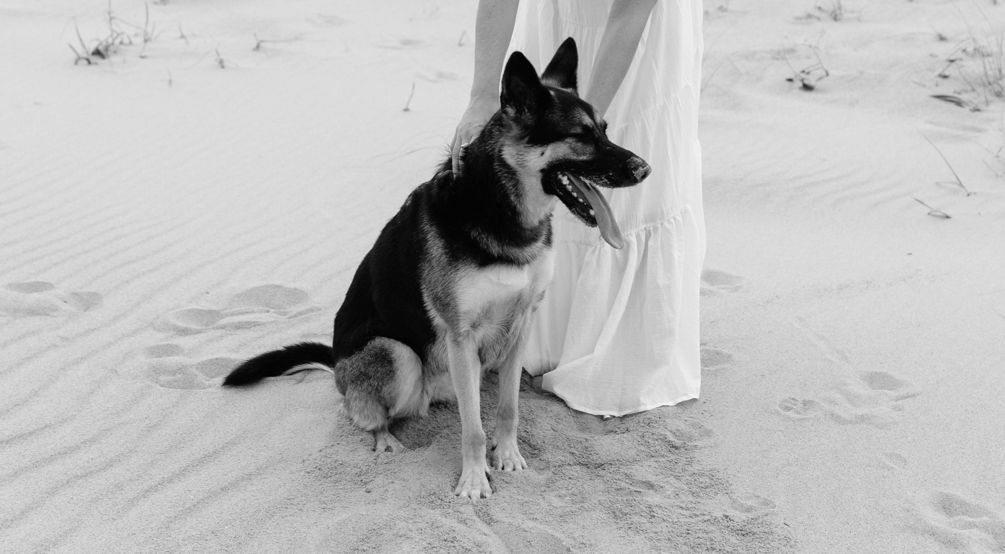 The Wedding Website of Madison Ashley and Tadd Bower