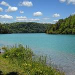 Glimmerglass State Park