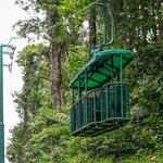 Join an open-air aerial tram ride above St. Lucia’s verdant forest