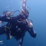 Fundive Catalina Islands (2 dives only for certified divers)