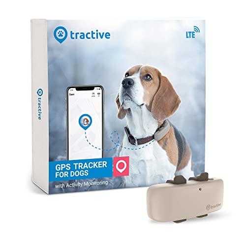 Tractive LTE GPS Dog Tracker - Location & Activity Tracker for Dogs with Unlimited Range (Newest Model)