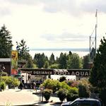 Point Defiance Zoo & Aquarium