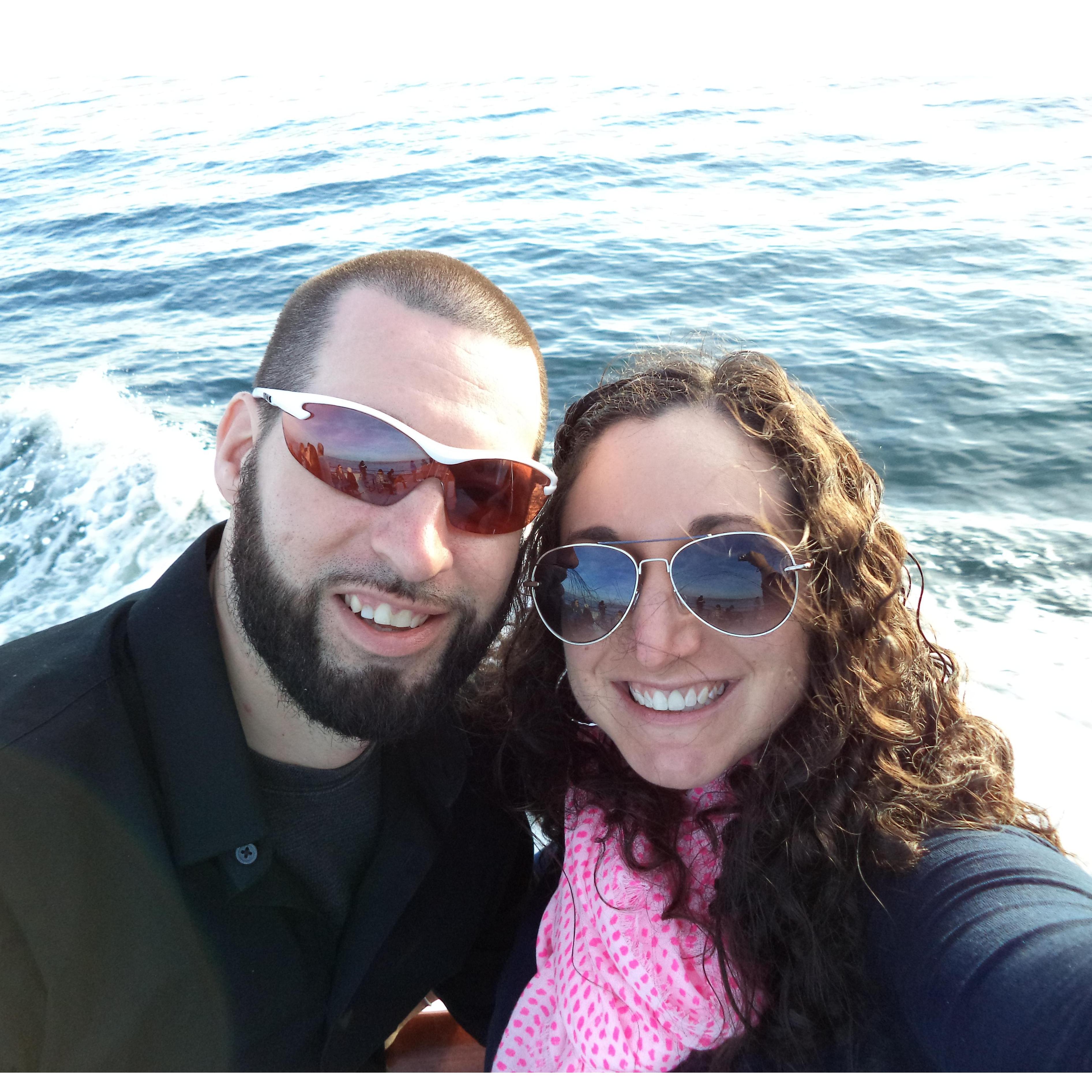 Whale watching minus the whales