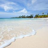 Saona Island