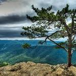 Blue Ridge Parkway