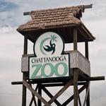 Chattanooga Zoo