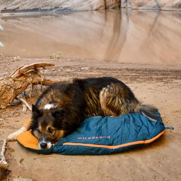Doggie Sleeping Bag