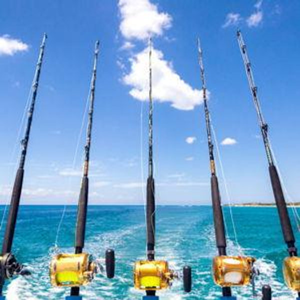 Fishing Charter on Our Honeymoon