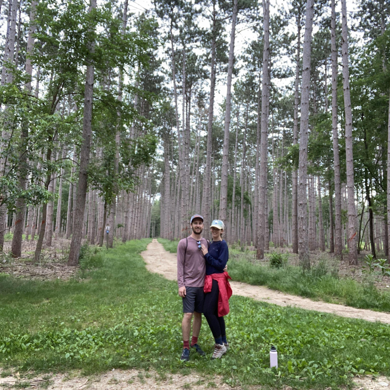 Kettle Morraine State Forest, June 2024
