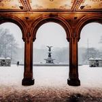 Walk Through Central Park