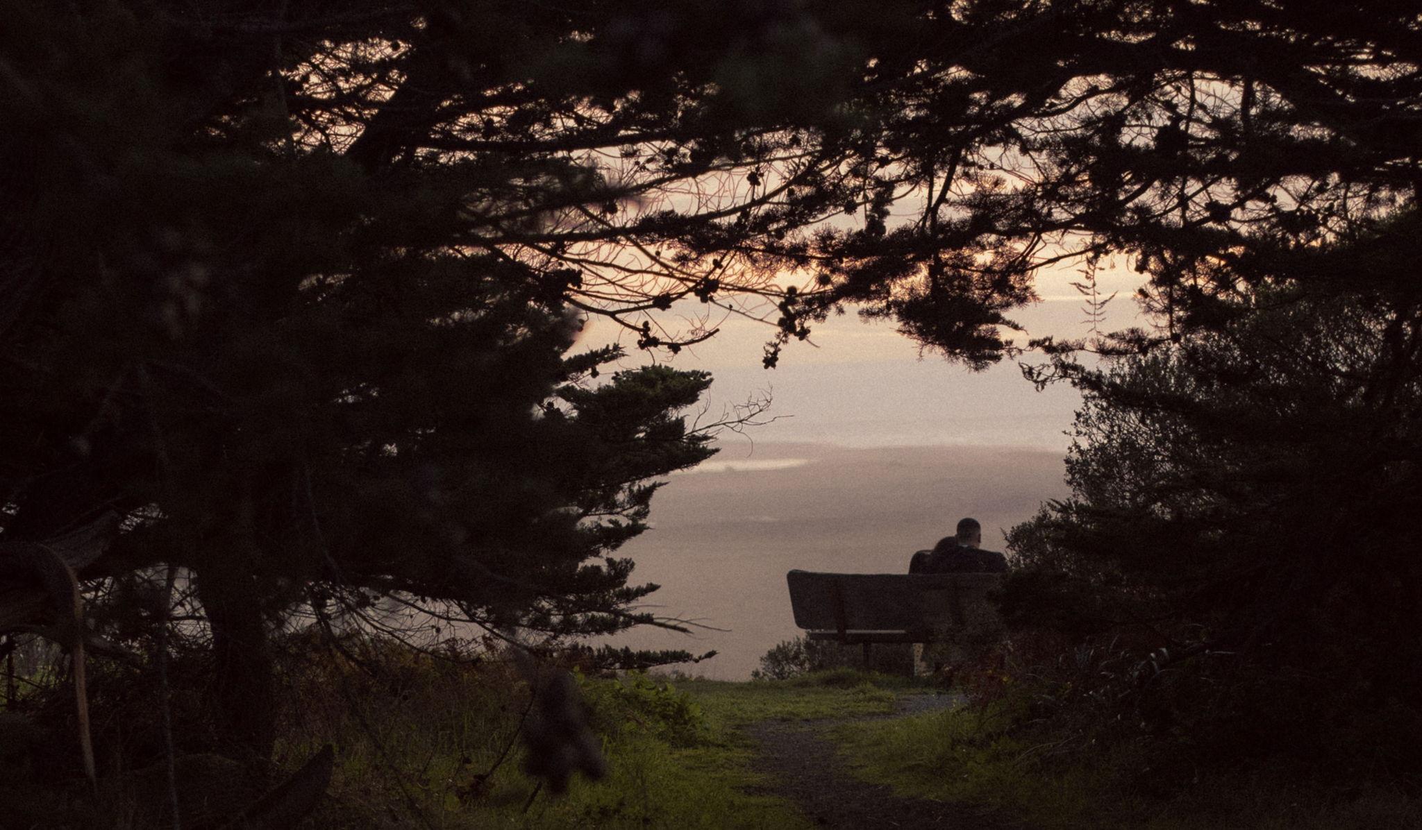 Hero Slideshow Image 0