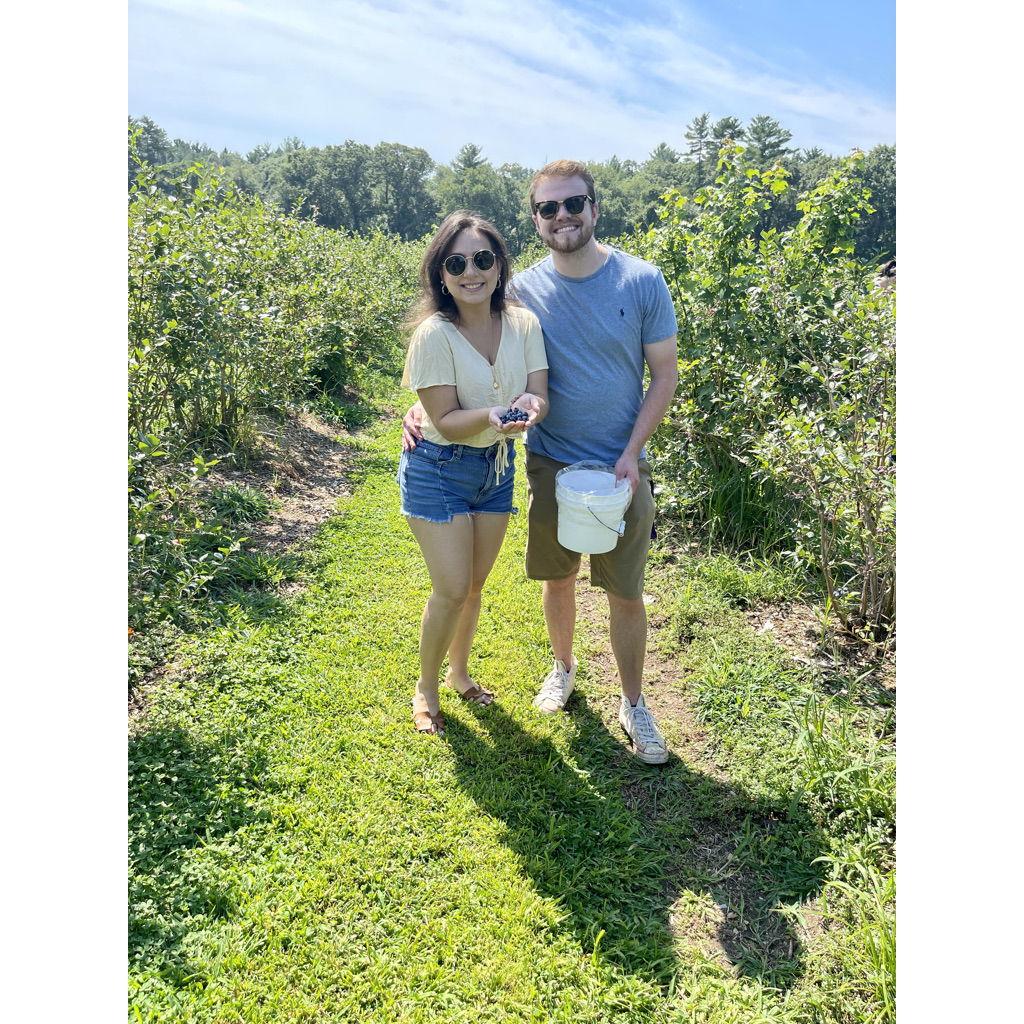 C.N. Smith Farm Blueberry picking