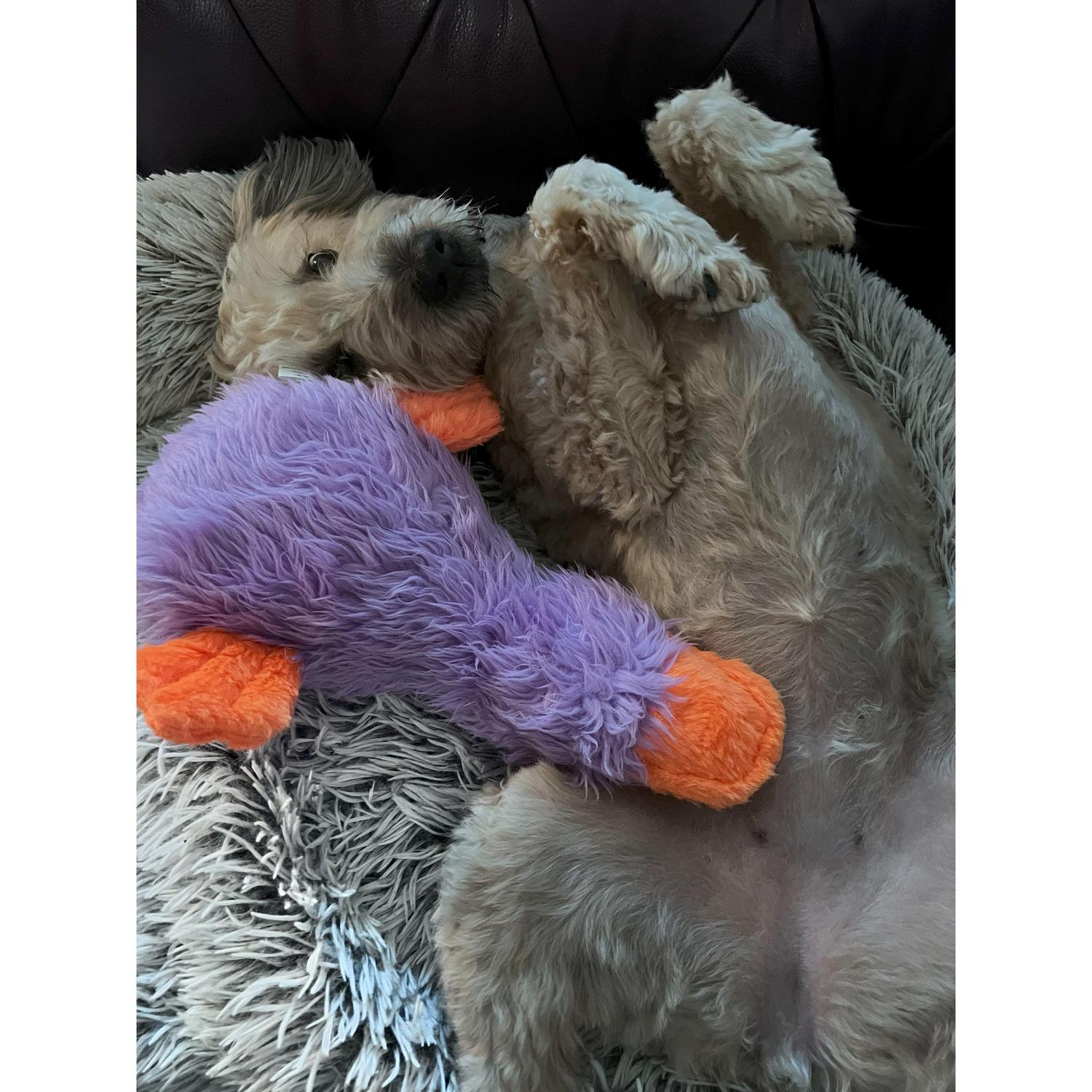 Cuteness overload.