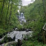 Amicalola Falls State Park
