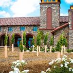 Lorimar Vineyards and Winery