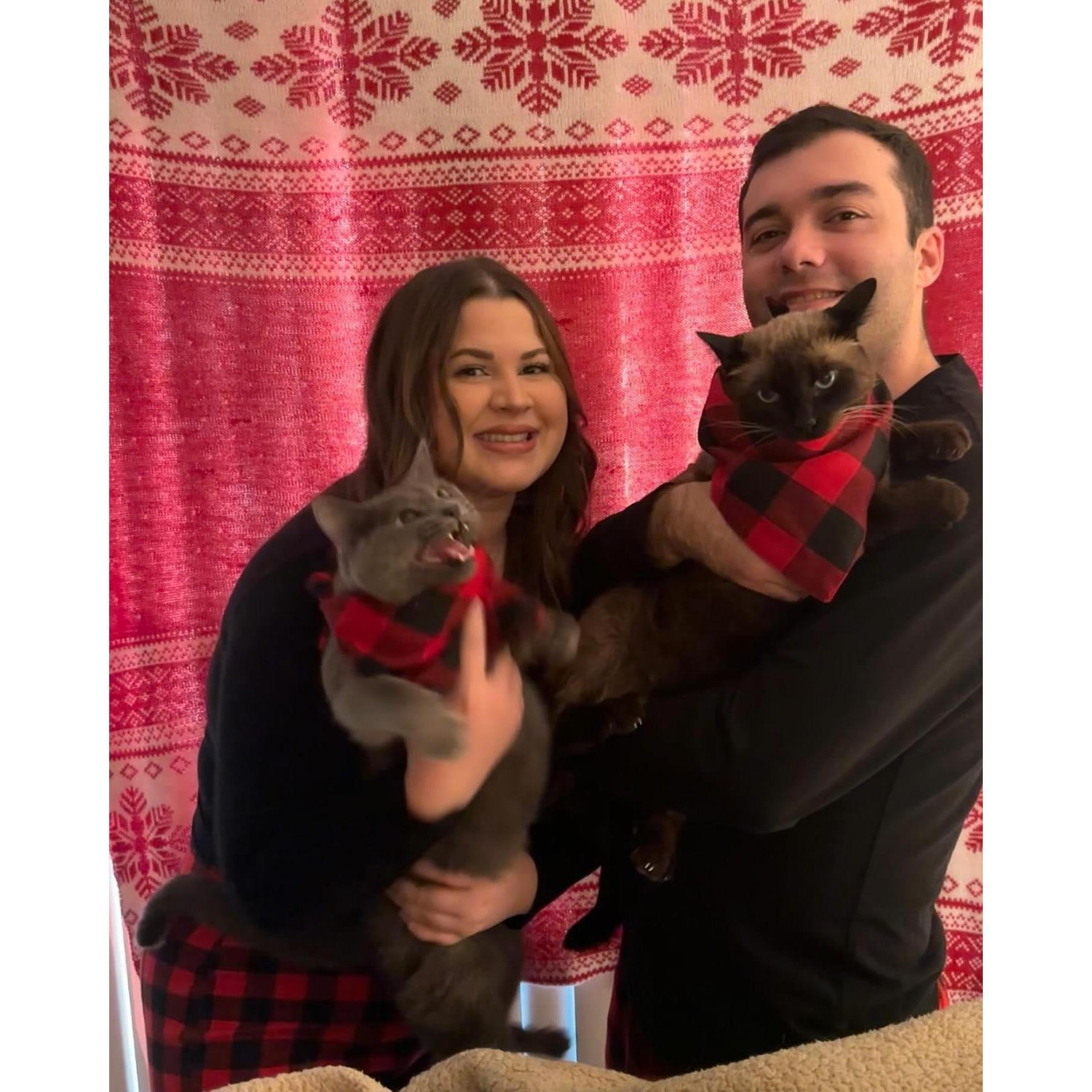The kitties! 🐈‍⬛