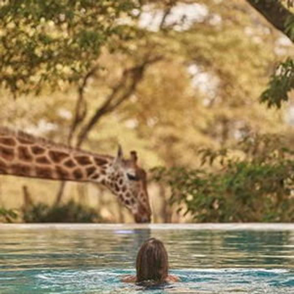 Honeymoon Resort - Giraffe Manor