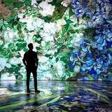 Beyond Van Gogh: Galleria Centre