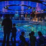 New England Aquarium