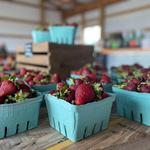 Redemption Farms
