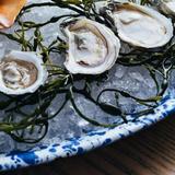 NICO | Oysters + Seafood