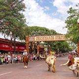 Fort Worth Stockyards