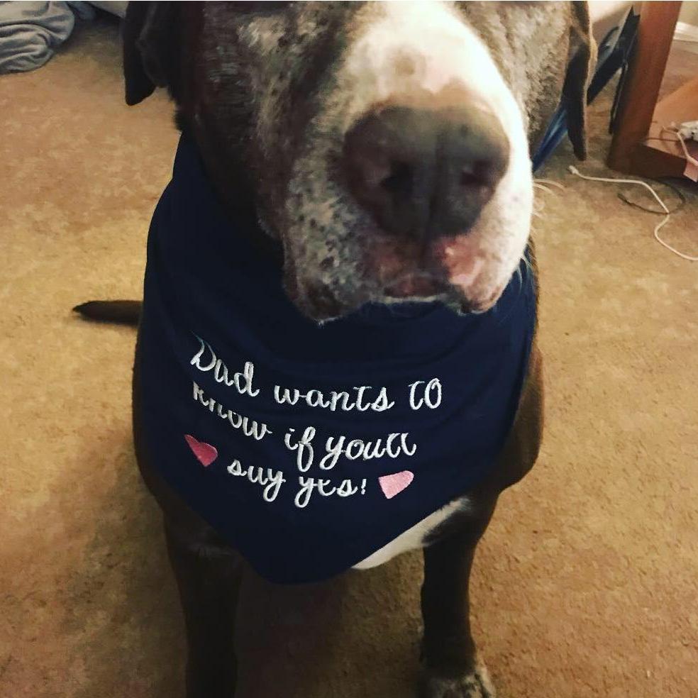 So did Brownie!