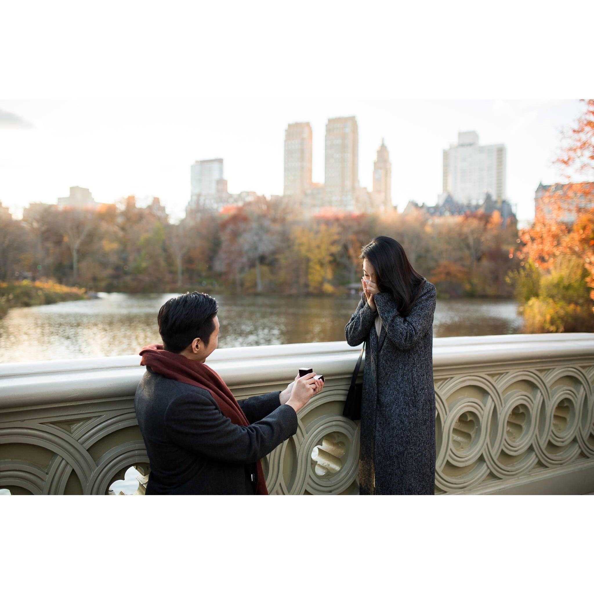 2016 fall
...And it happened!